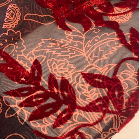 Velvet & Sheer 3/4 Sleeve Button-down Blouse, Dressy, Ruffle Cuff, Collar, Layer - Picture 5 of 7